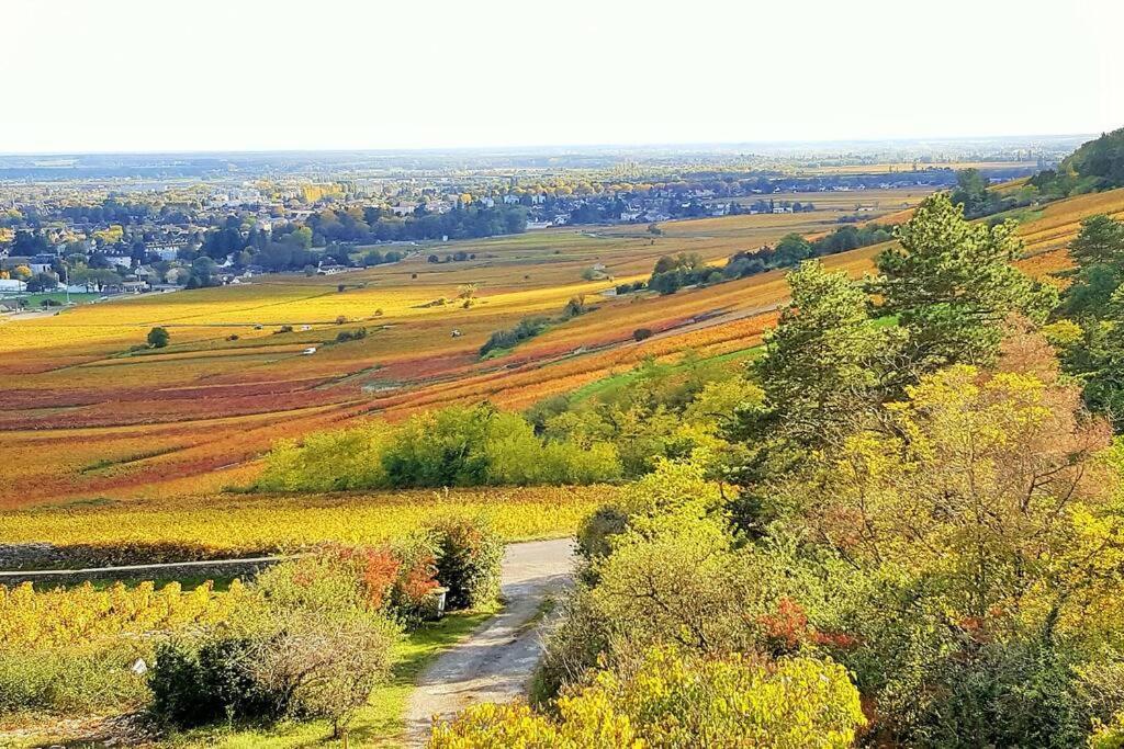 La Maison De L'Ecu : Charme Et Vue Incroyable Beaune  Exterior foto